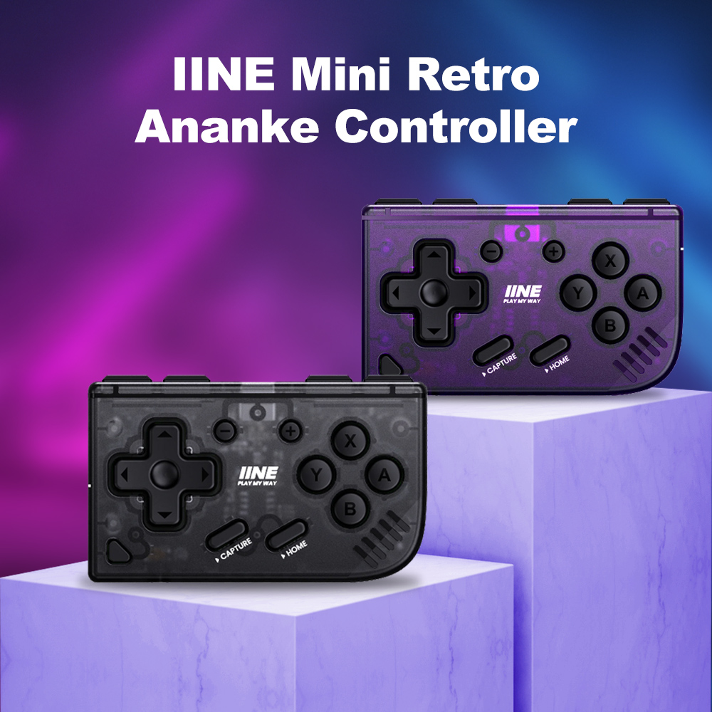 IINE Pocket Mini Controller fo - Retro Gaming Accessories 评论和价格